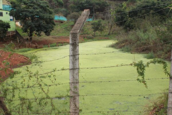 lagoa de esgoto, lagoa vila paciência