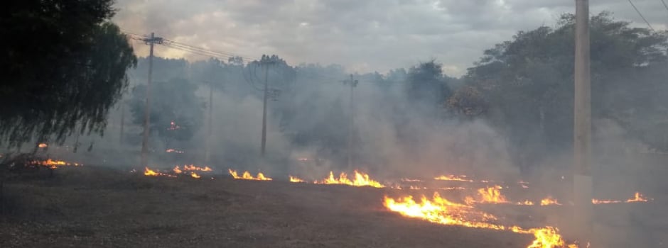 Campanha busca conscientização contra queimadas em Ipatinga