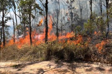 Desova: após corpo ser carbonizado e incendiar a Serra do Rola Moça, PM encontra segunda ossada