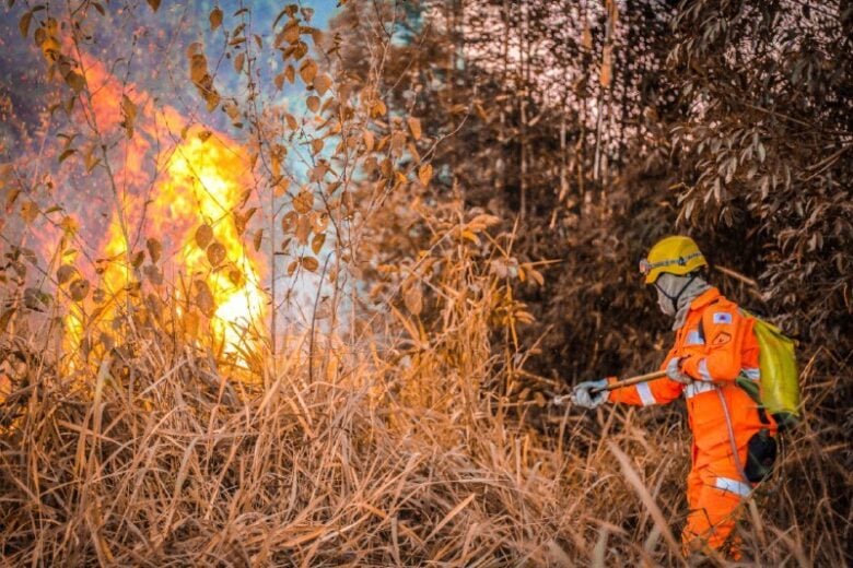 Onda de calor: bombeiros estão preparados para possível aumento de incêndios em vegetações