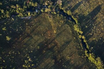 Desmatamento do Cerrado ameaça segurança hídrica de todo o Brasil