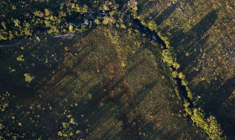 Desmatamento do Cerrado ameaça segurança hídrica de todo o Brasil