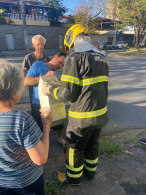 bombeiros combatem incêndio em clínica veterinária