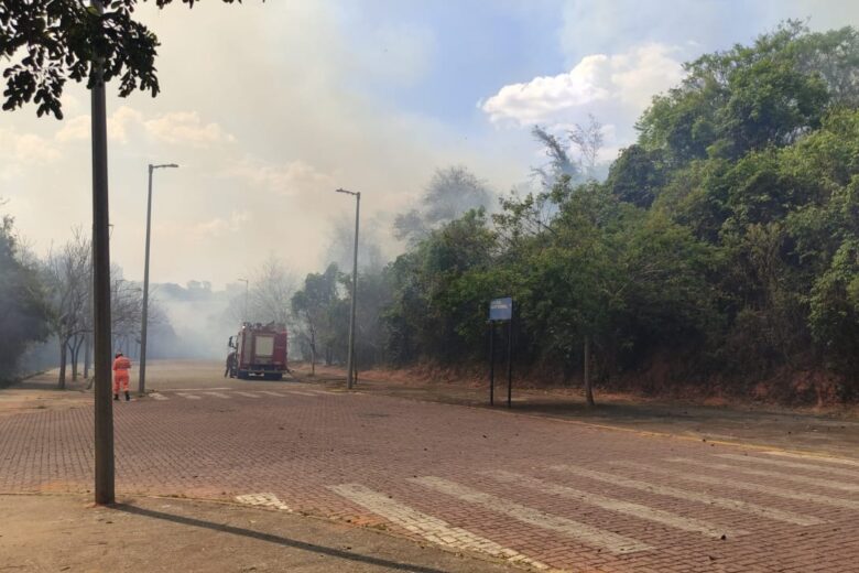 Bombeiros são acionados para combate a incêndio em mata próxima à prédio da UFMG