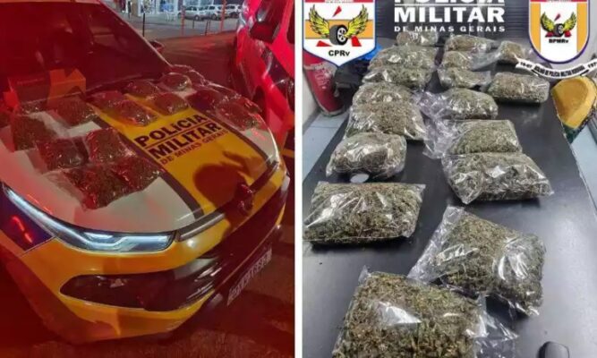 policiais apreendem droga
