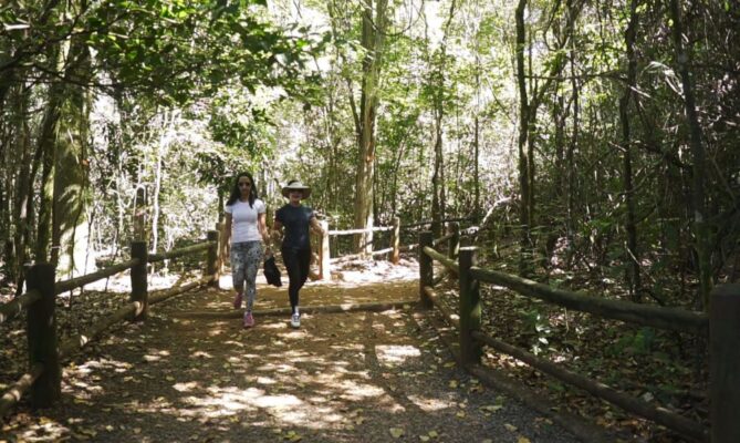 Brasil tem mais de 10 mil quilômetros de trilhas cadastradas
