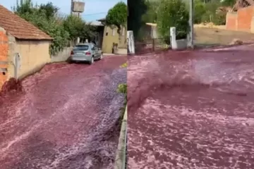 ‘Rio’ de vinho inunda ruas de cidade portuguesa; veja o vídeo