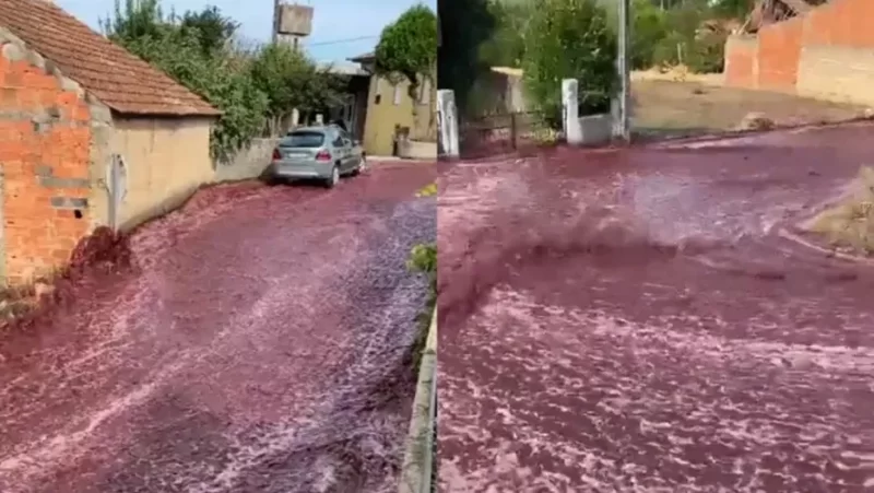 ‘Rio’ de vinho inunda ruas de cidade portuguesa; veja o vídeo