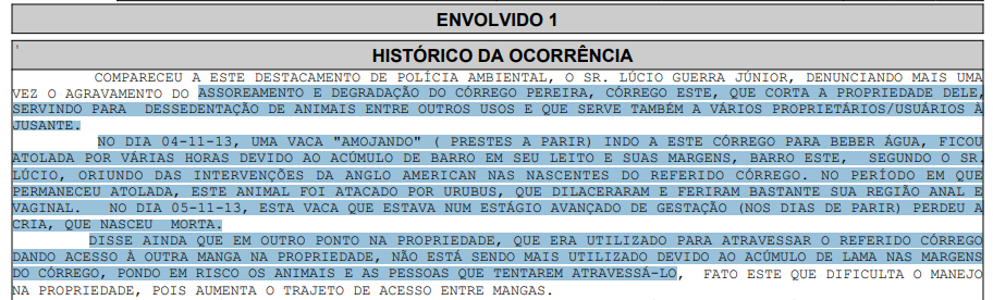 Detalhe de BO registrado pela PMMG. Captura: DeFato Online