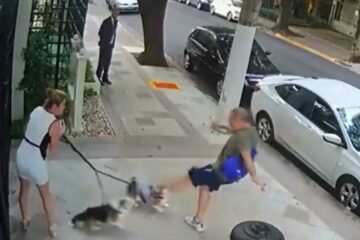 Homem que agrediu a pontapés cachorros da irmã de Zanin é absolvido