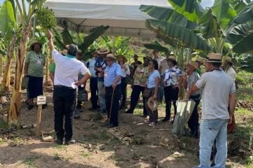 Emater-MG estimula formação de pomares na região de Itabira