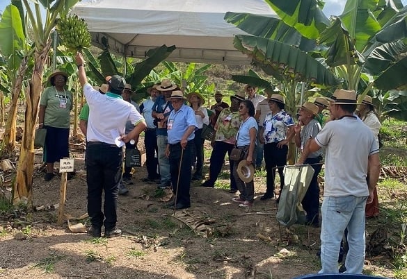 Emater-MG estimula formação de pomares na região de Itabira