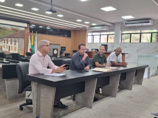 reunião de comissões
