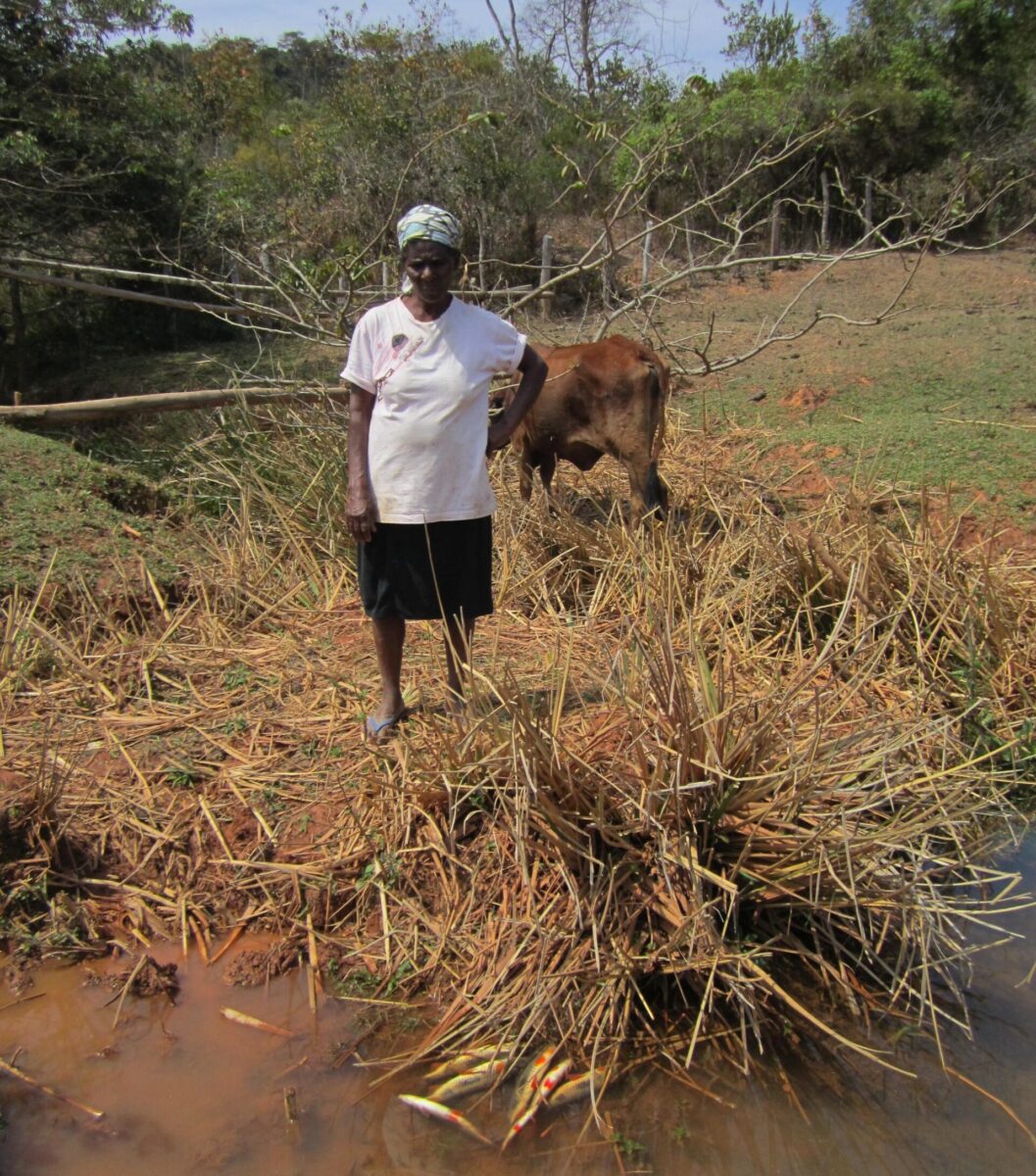 Contaminação por amônia mata peixes em Córrego Passa Sete. Foto feita pela comunidade para BO