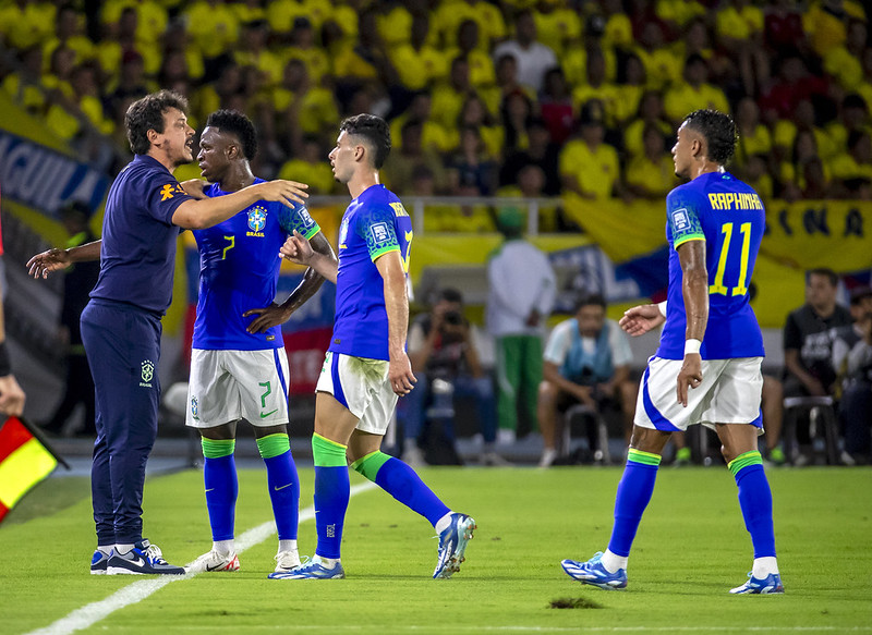 fernando diniz; seleção brasileira