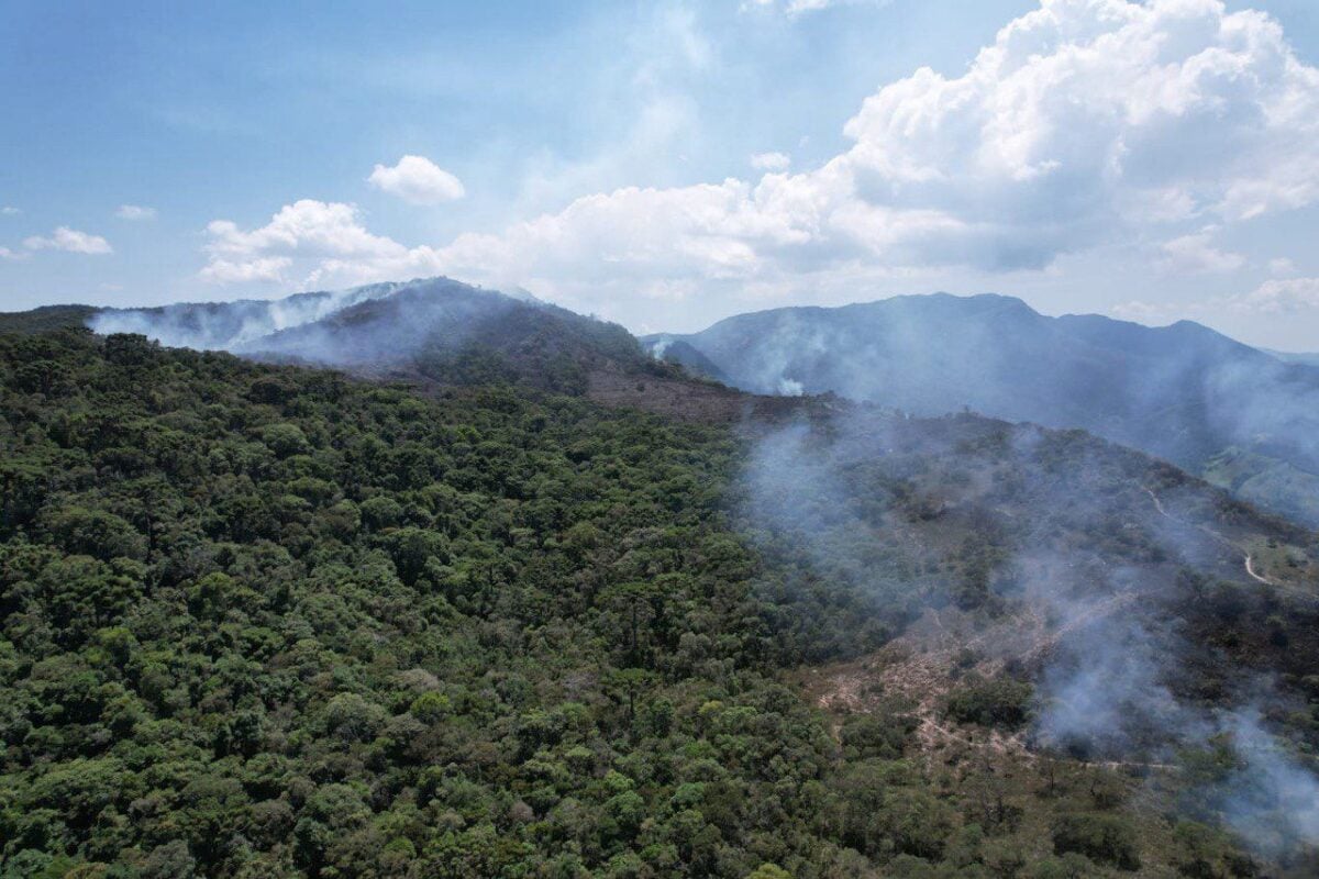 incêndio florestal