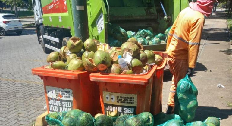 Diante do calor, Belo Horizonte registra aumento do recolhimento de carcaças de coco