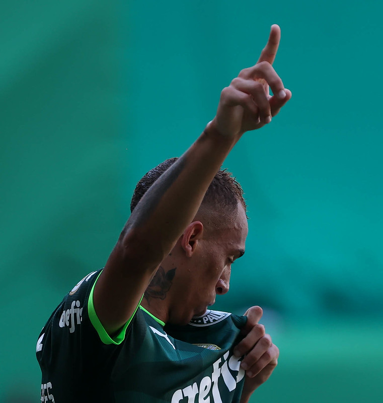 Palmeiras bate o Fluminense e fica muito perto do título brasileiro na última rodada