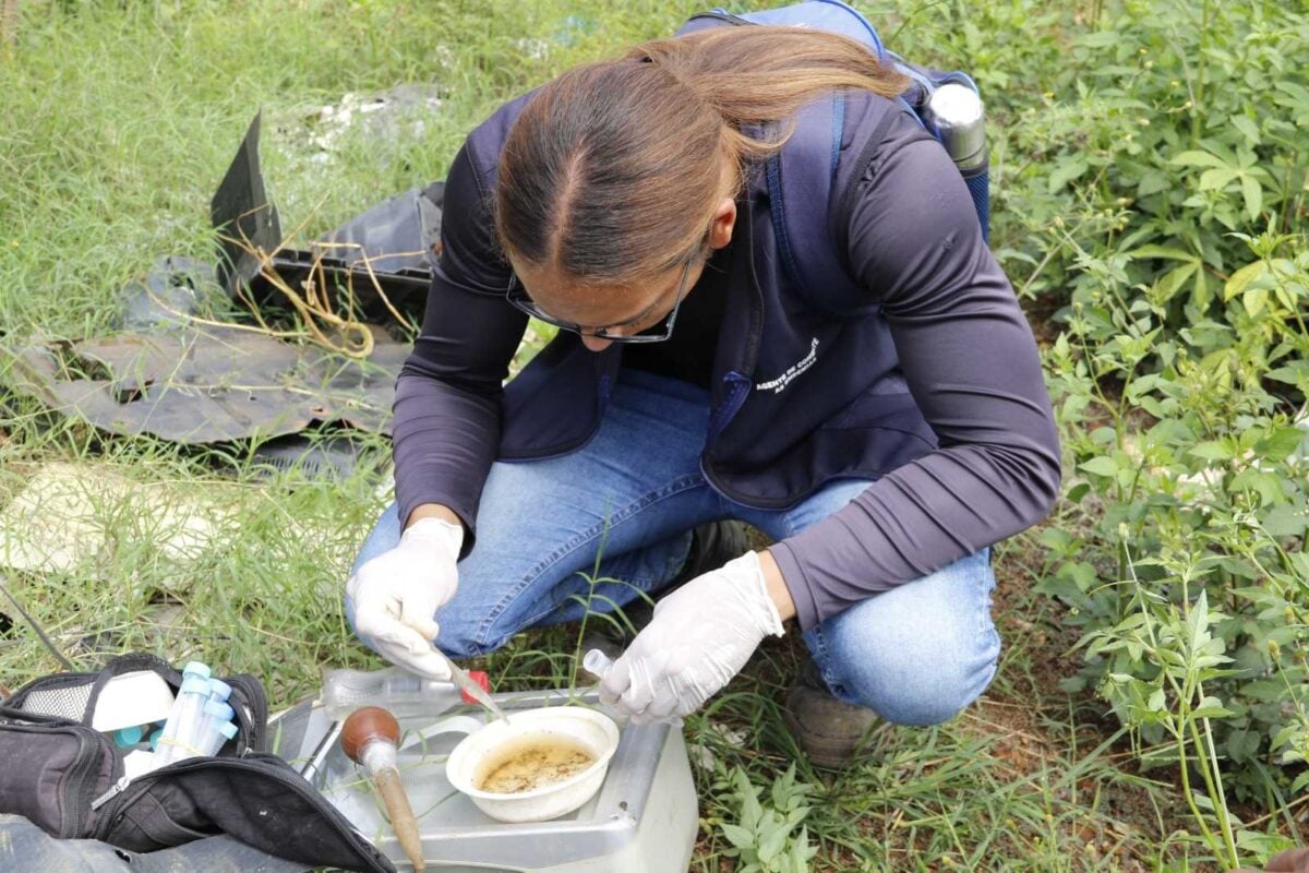 Agentes de combate às endemias recolhem materiais que possam acumular água. Foto: Prefeitura de Santa Bárbara