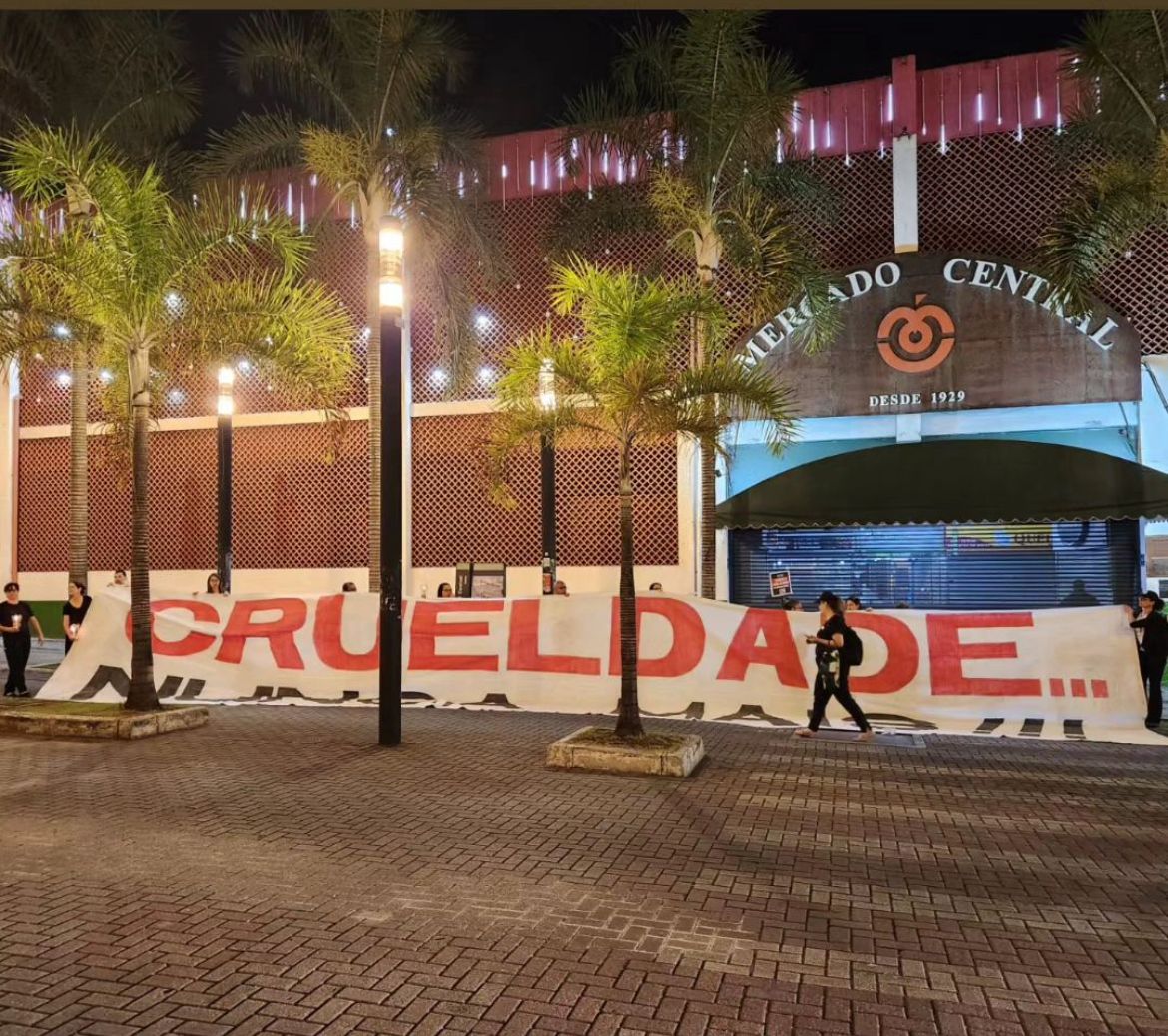 manifestação mercado central