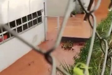 Itabira: Forte chuva inunda residencial, CRAS e CMEI Dona Dudu, no bairro Fênix