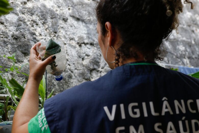 Minas Gerais vai decretar estado de emergência de saúde por causa da dengue; pico da doença será em março