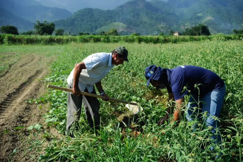 Sindicato Rural de Bom Jesus promove curso gratuito de ‘‘Administração de propriedades em regime de economia familiar’’