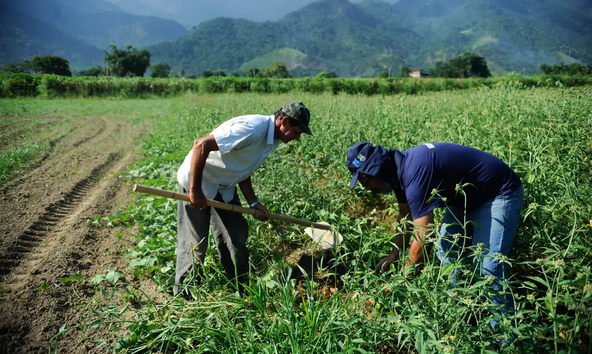 agricultura, agricultura familiar