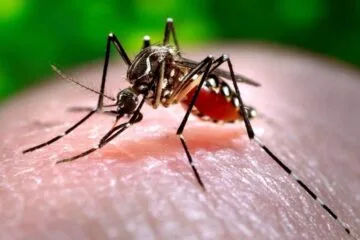 69 pessoas seguem internadas por dengue em Itabira