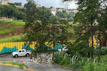 Árvore cai e interdita trânsito na rua Turmalina, em Itabira