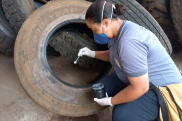 Itabira é o segundo município com mais casos de dengue em Minas Gerais