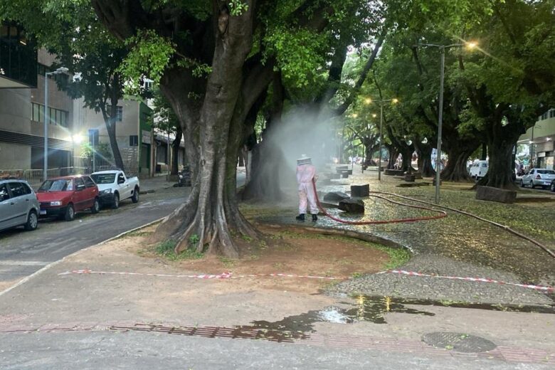 Duas pessoas são atacadas por abelhas durante bloco de Carnaval em BH