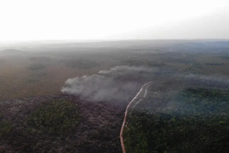 Área queimada no Brasil cresce 248% em relação a janeiro de 2023