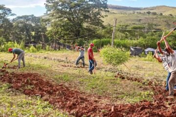 Justiça nega reintegração em fazenda ocupada pelo MST em Minas Gerais