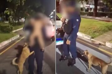 Bebê foge de casa em Belém e é encontrado de madrugada ao lado de cachorro caramelo