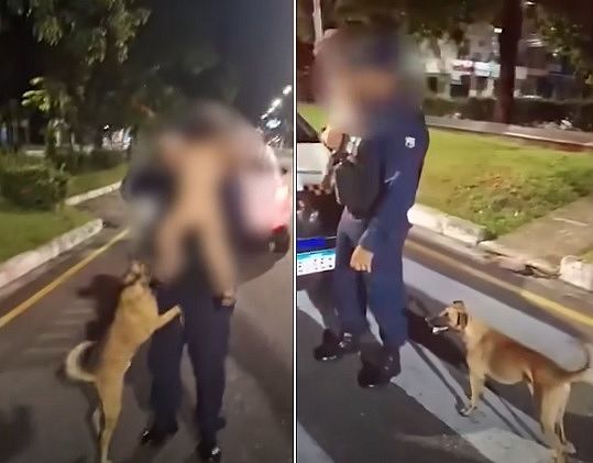 Bebê foge de casa em Belém e é encontrado de madrugada ao lado de cachorro caramelo