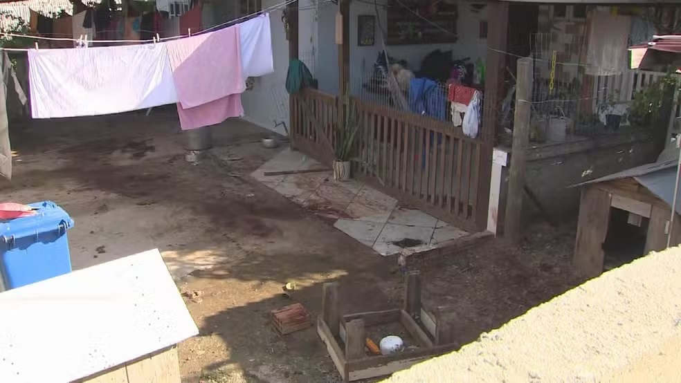 Homem morre ao ser atacado por pitbulls em Florianópolis