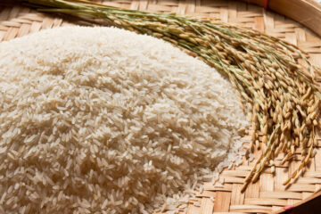 Governo vai importar até 1 milhão de tonelada de arroz devido as chuvas no RS