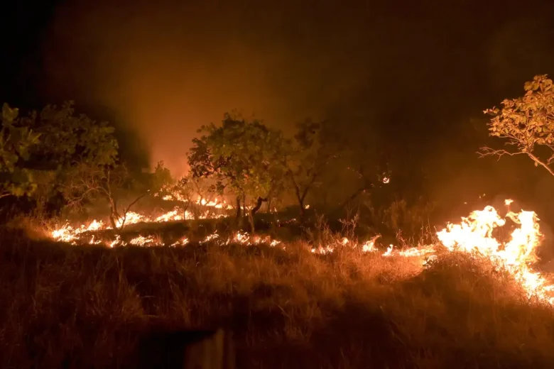 Incêndios no Brasil se intensificaram nos primeiros quatro meses de 2024