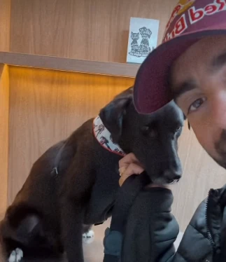 Pedro Scooby adota cachorro que resgatou da enchente