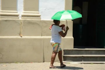 Hemisfério Norte registrou verão mais quente em 2.000 anos