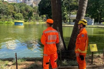 Homem supostamente embriagado se afoga em lago do Parque Municipal de BH