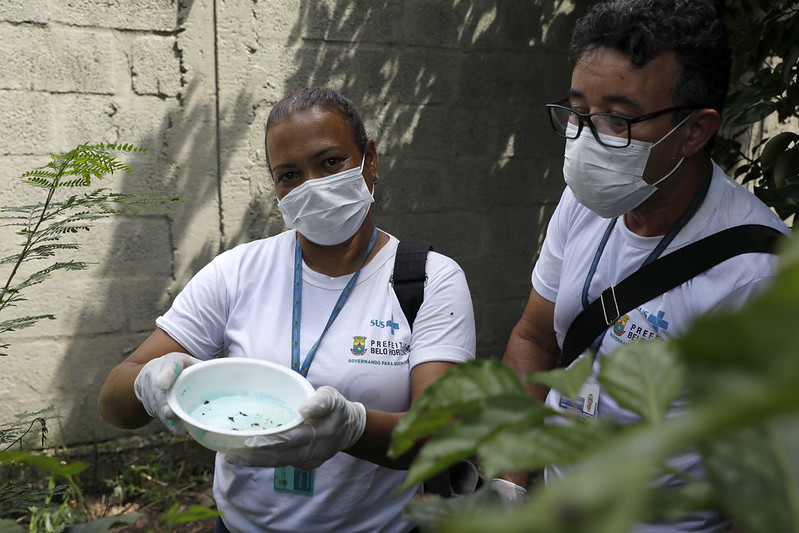 dengue belo horizonte