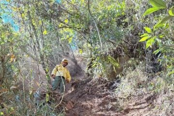 Após oito dias, incêndio no Parque Nacional do Itatiaia é extinto