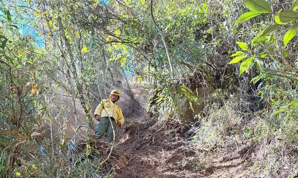 Após oito dias, incêndio no Parque Nacional do Itatiaia é extinto