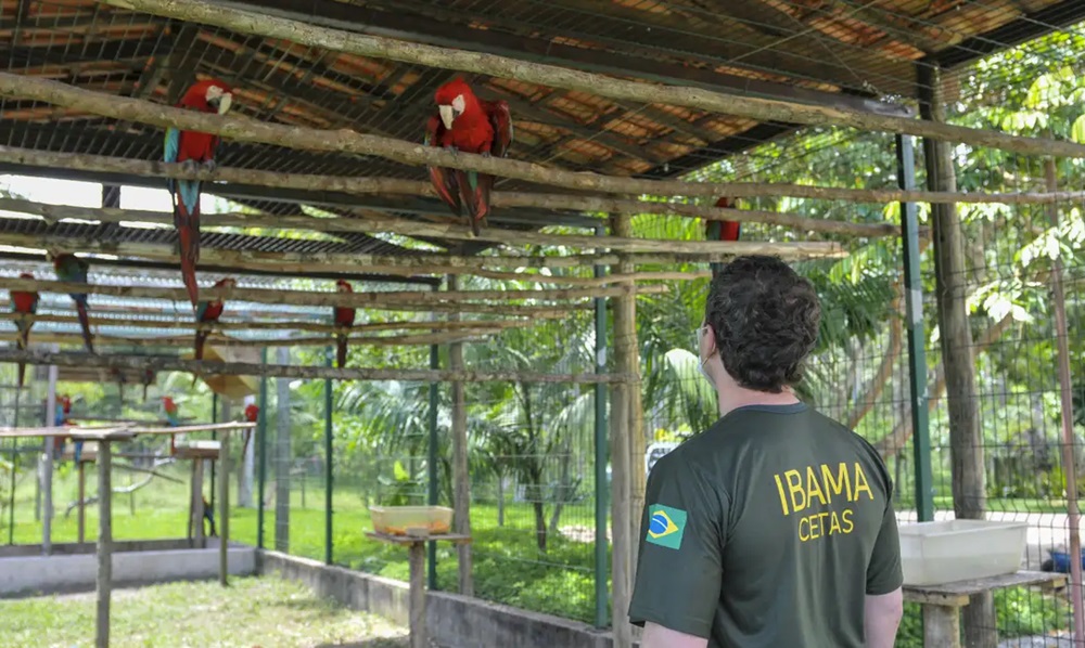 Servidores do meio ambiente decidem entrar em greve no dia 24 de junho