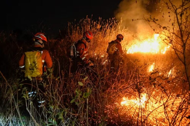 Incêndio se alastra no Pantanal durante festa de São João em Corumbá; veja o vídeo