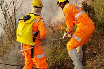 Bombeiros de João Monlevade registram quase 200 atendimentos em 45 dias de atuação