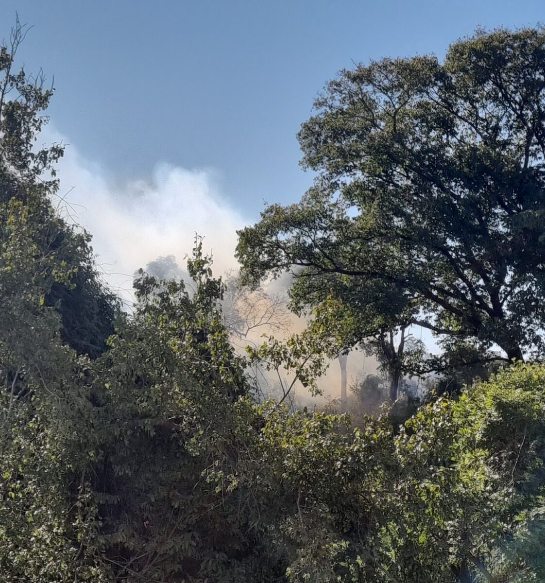 incêndio no castelo