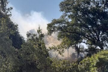 Incêndio de grandes proporções atinge mata no bairro Castelo, em BH